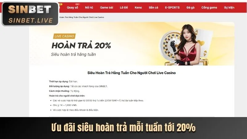 Chương trình hoàn trả cược vbet
